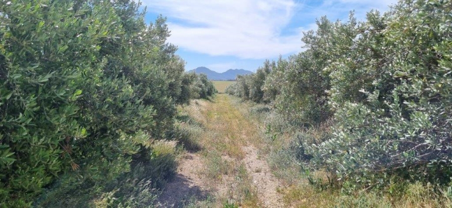 3 Bedroom Property for Sale in Tulbagh Western Cape